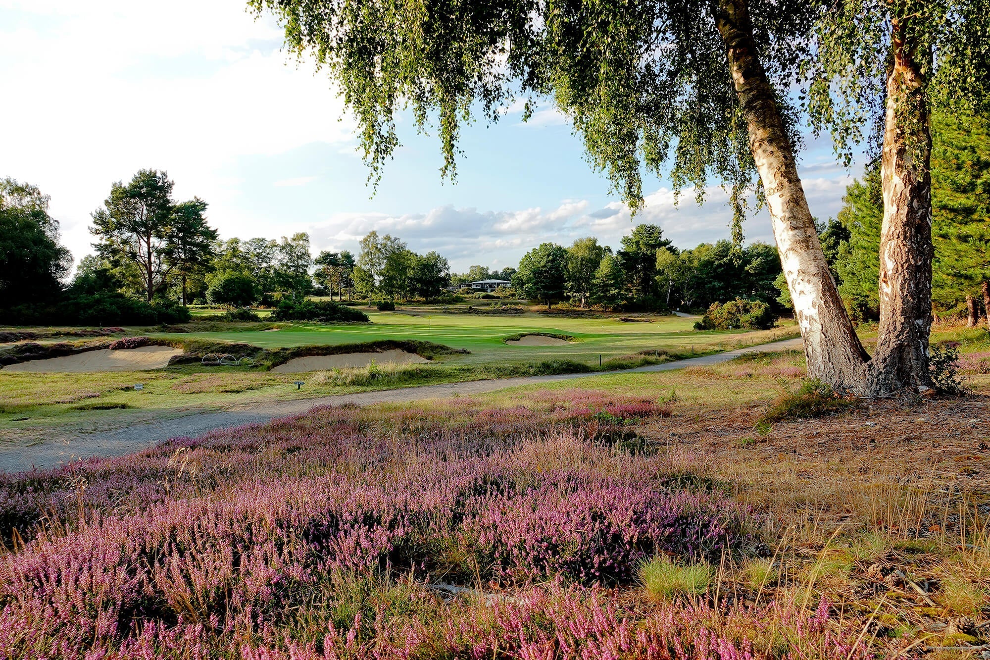 Suffolk Swing