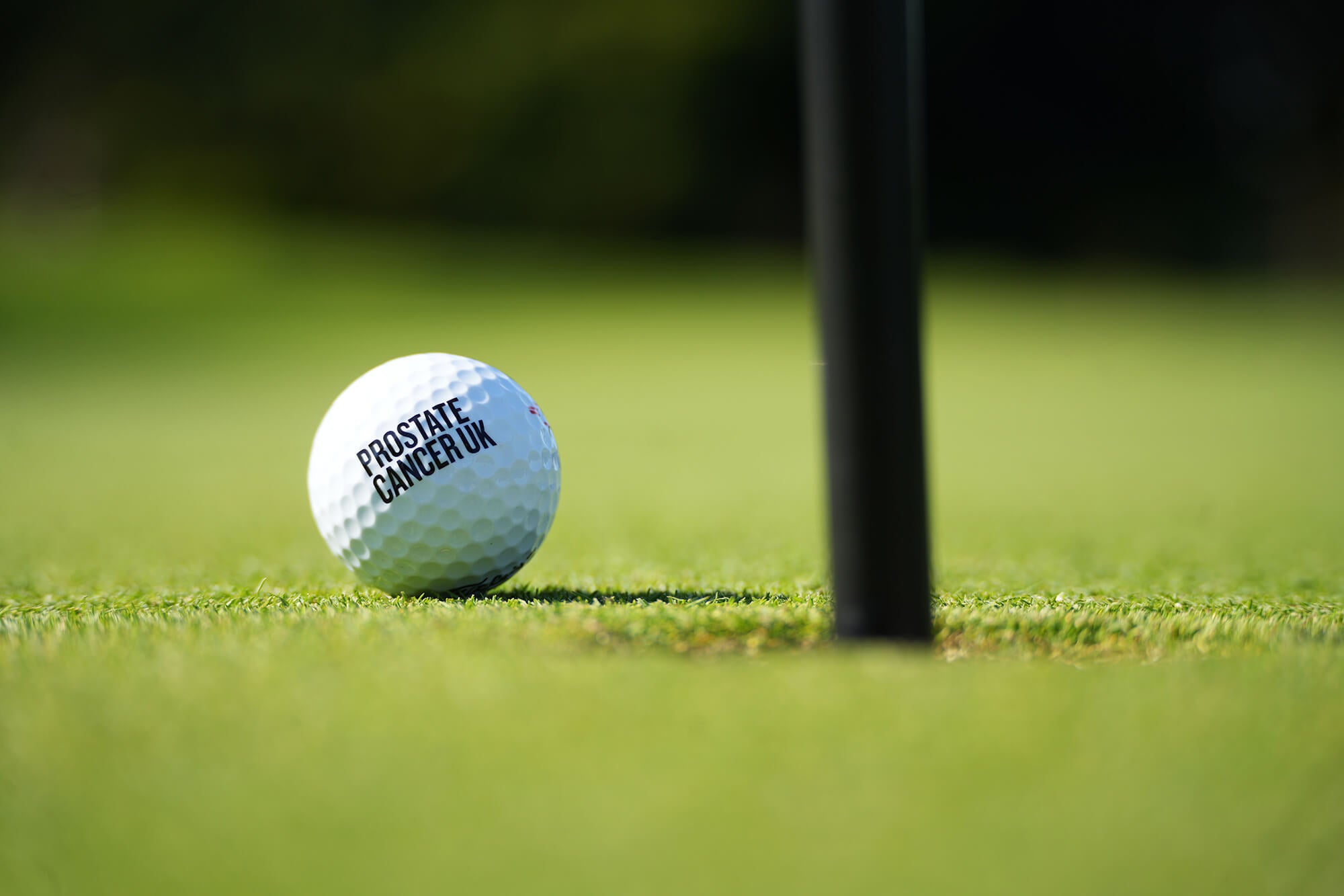 The Big Golf Race Major