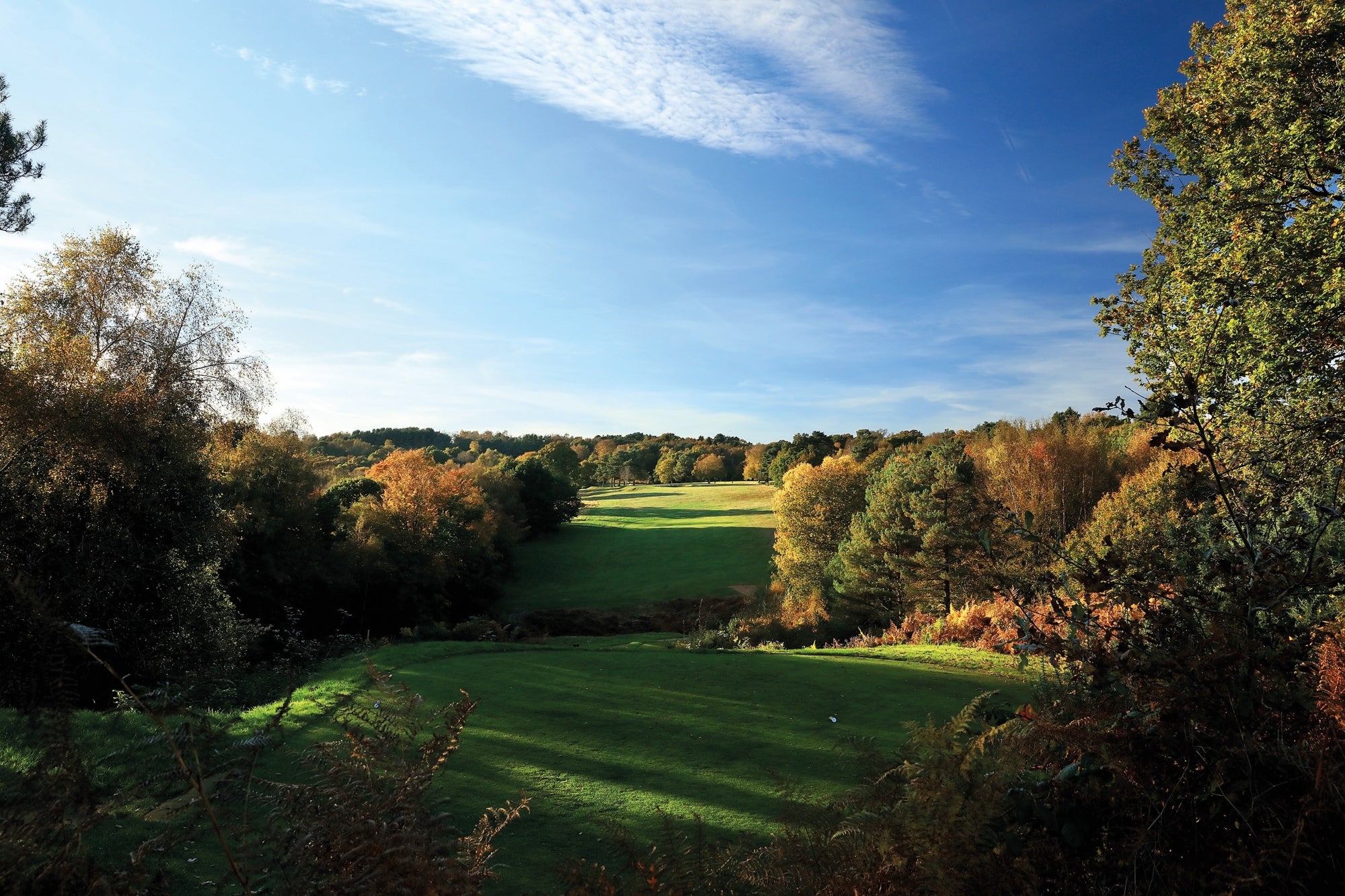 Sussex Package