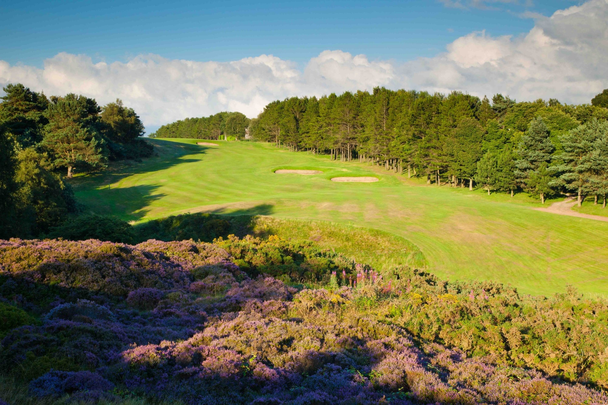 South Yorkshire & Nottinghamshire Package