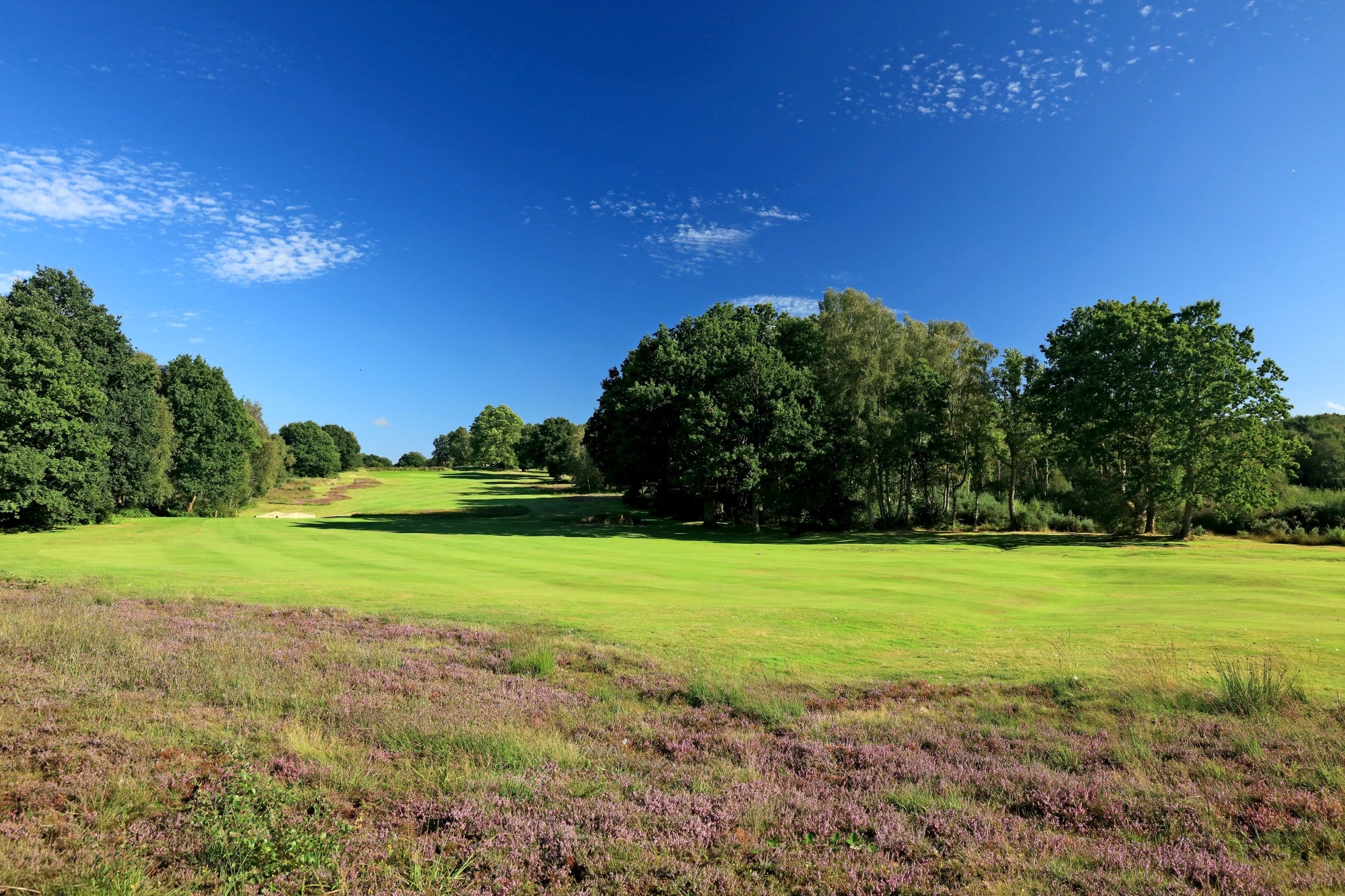 Sussex Package