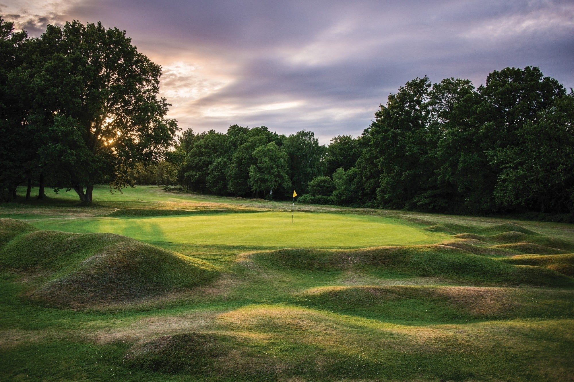 Oxfordshire & Hertfordshire Swing
