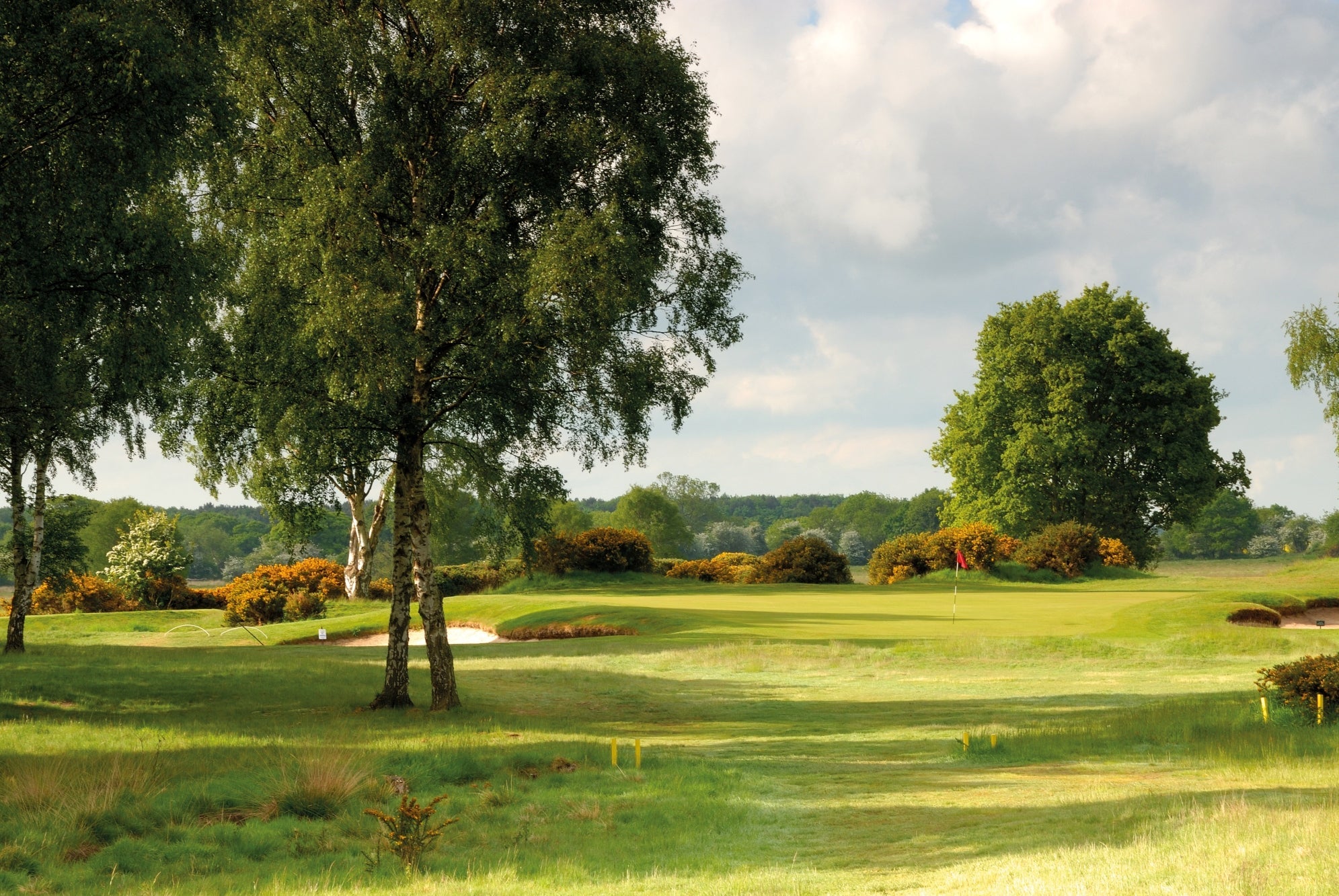 Yorkshire Swing