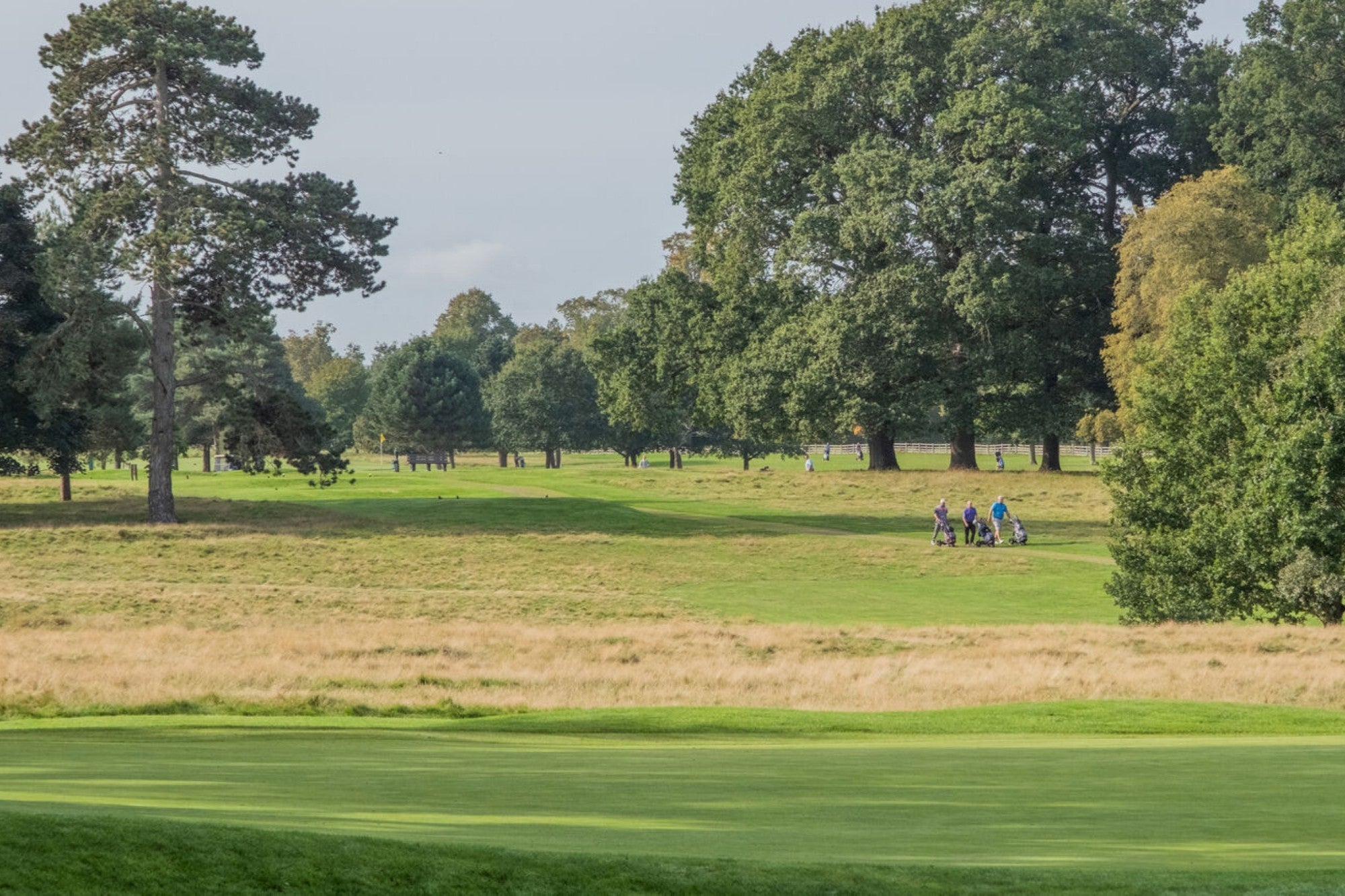Belton Park